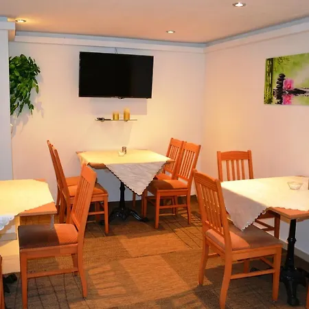 Pension-gaestehaus Oberscheven Leipziger Neuseenland Penzion 3*