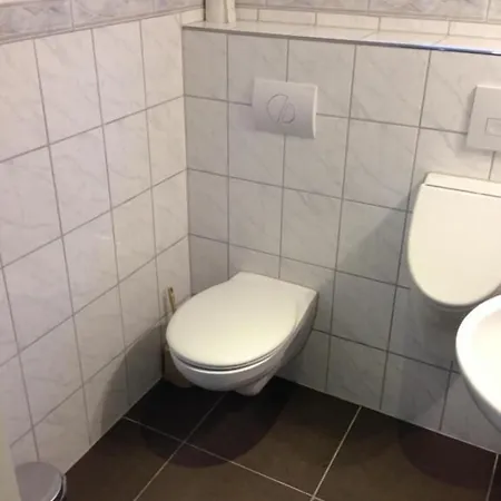 Penzion Pension-gaestehaus Oberscheven Leipziger Neuseenland 3*